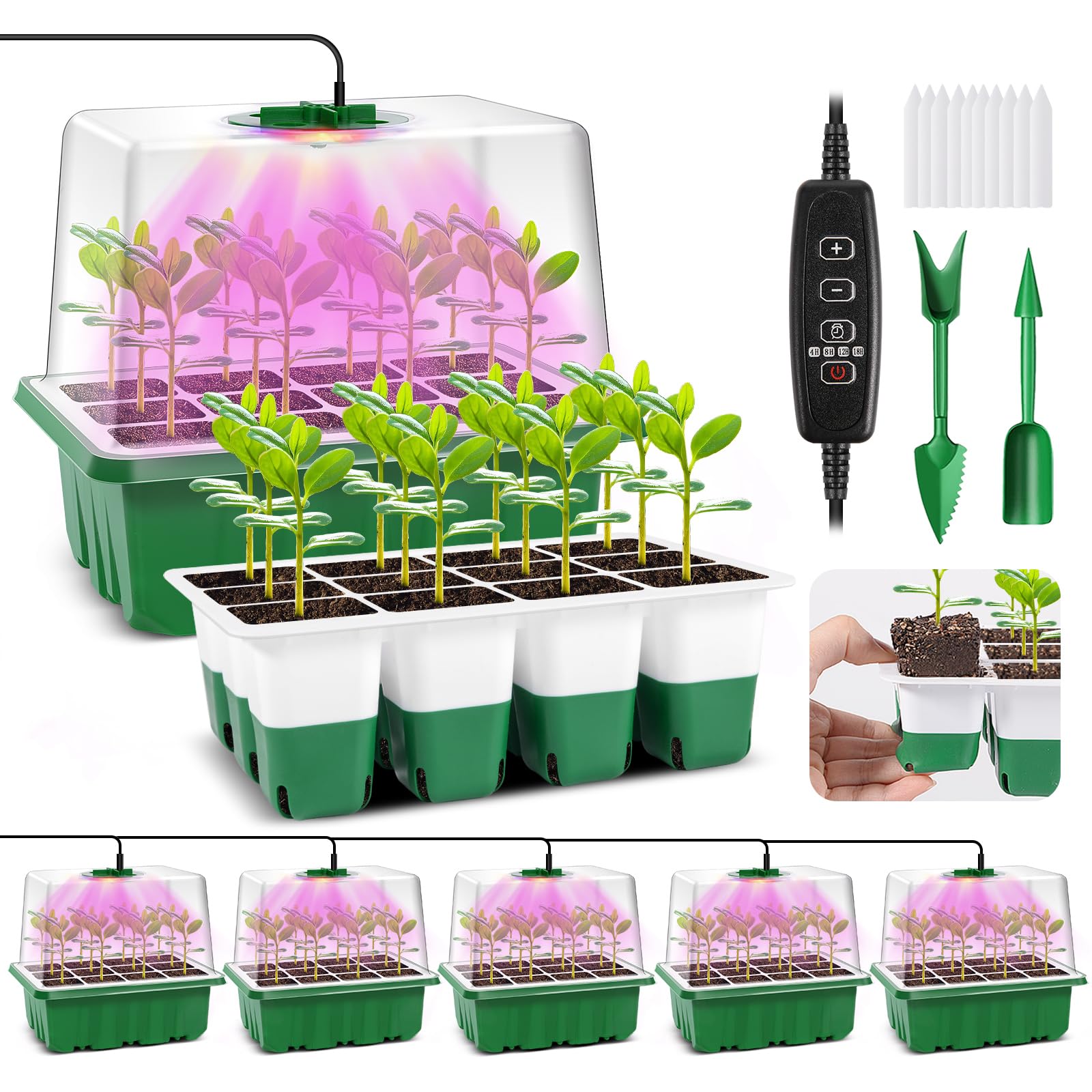 Verdenu seemnete idandamisalus valgusega – seemne kasvatuskomplekt