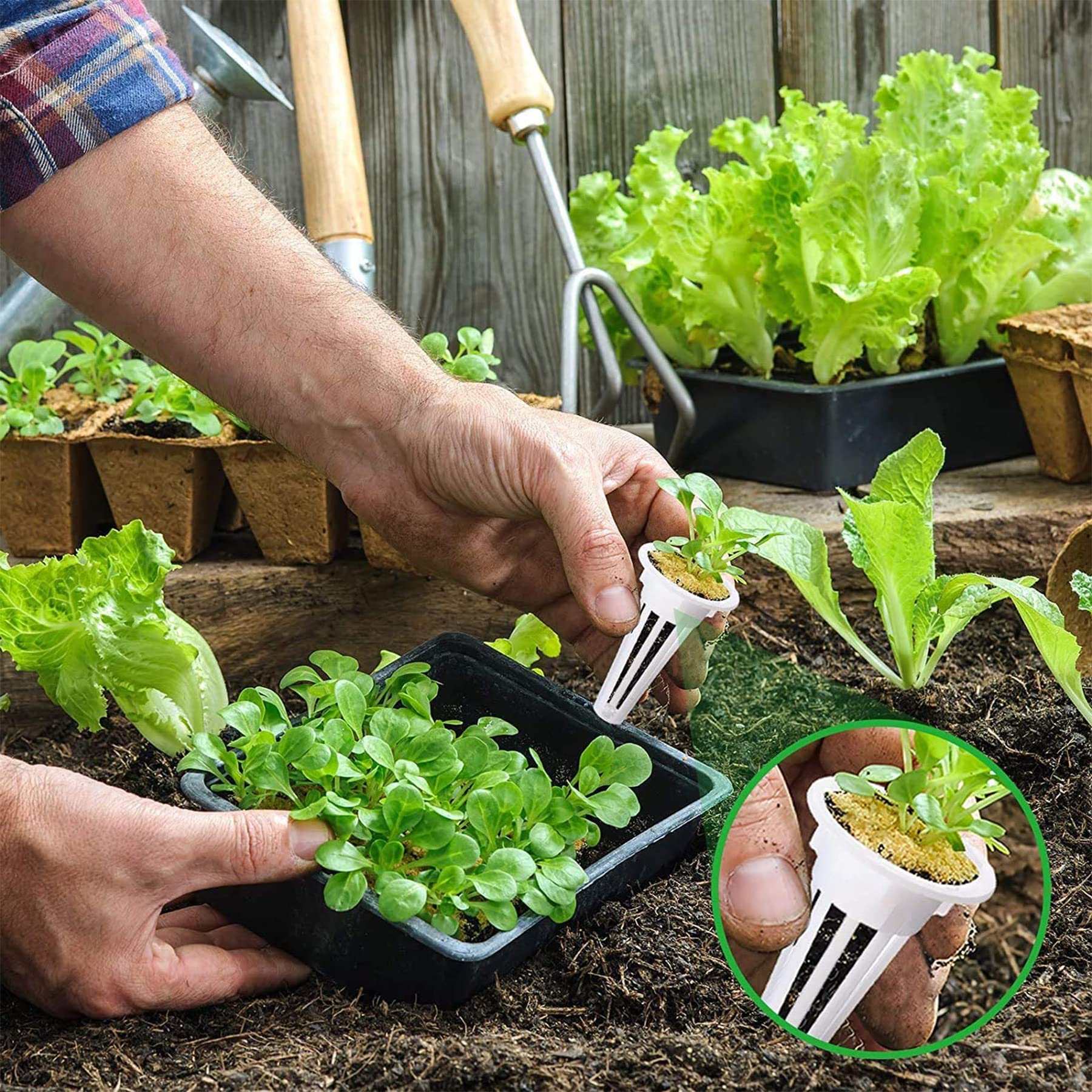 100-osaline hüdropoonika kasvatuse komplekt taimeseemnete idandamiseks – 50 kasvukäsna ja 50 seemnekorvi