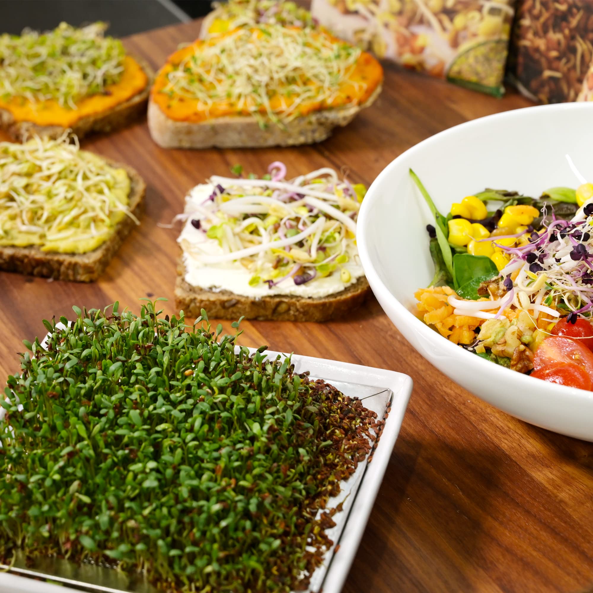 Green SEEDS® Kressisõel 1-osaline komplekt + kressi- ja redisesemned | Roostevabast terasest sõel kvaliteetse keraamilise alusega | Idandamisalus 14 x 14 cm