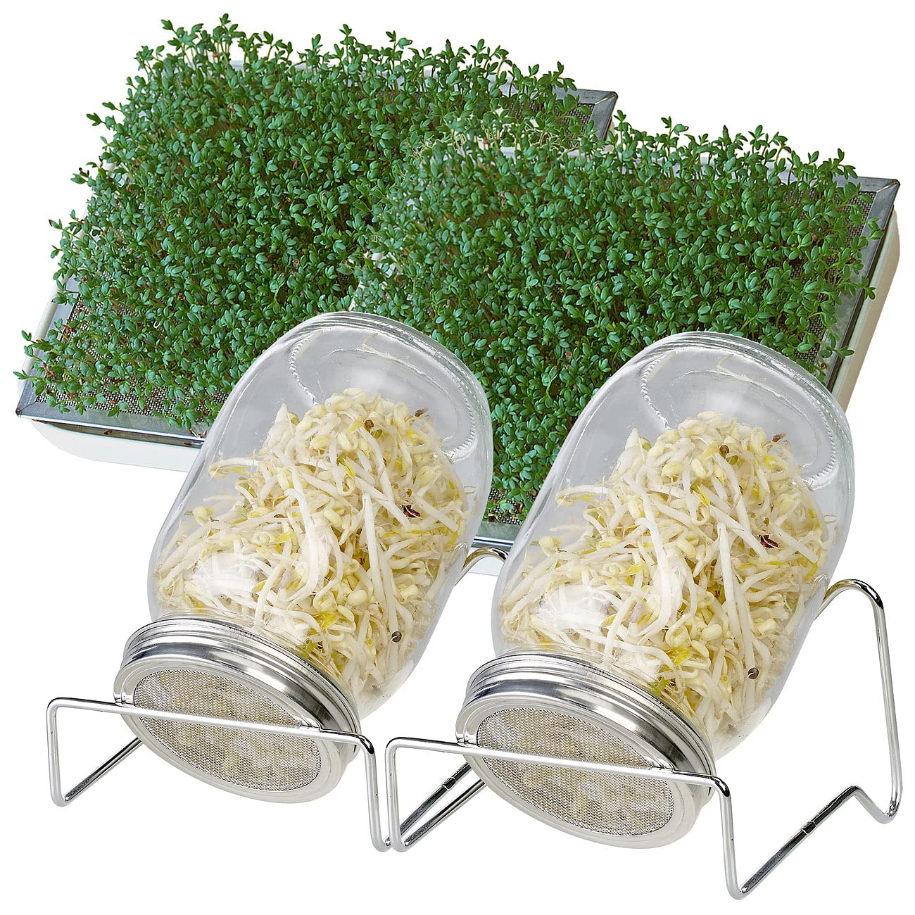 Royal Gardineer idandamisnõud