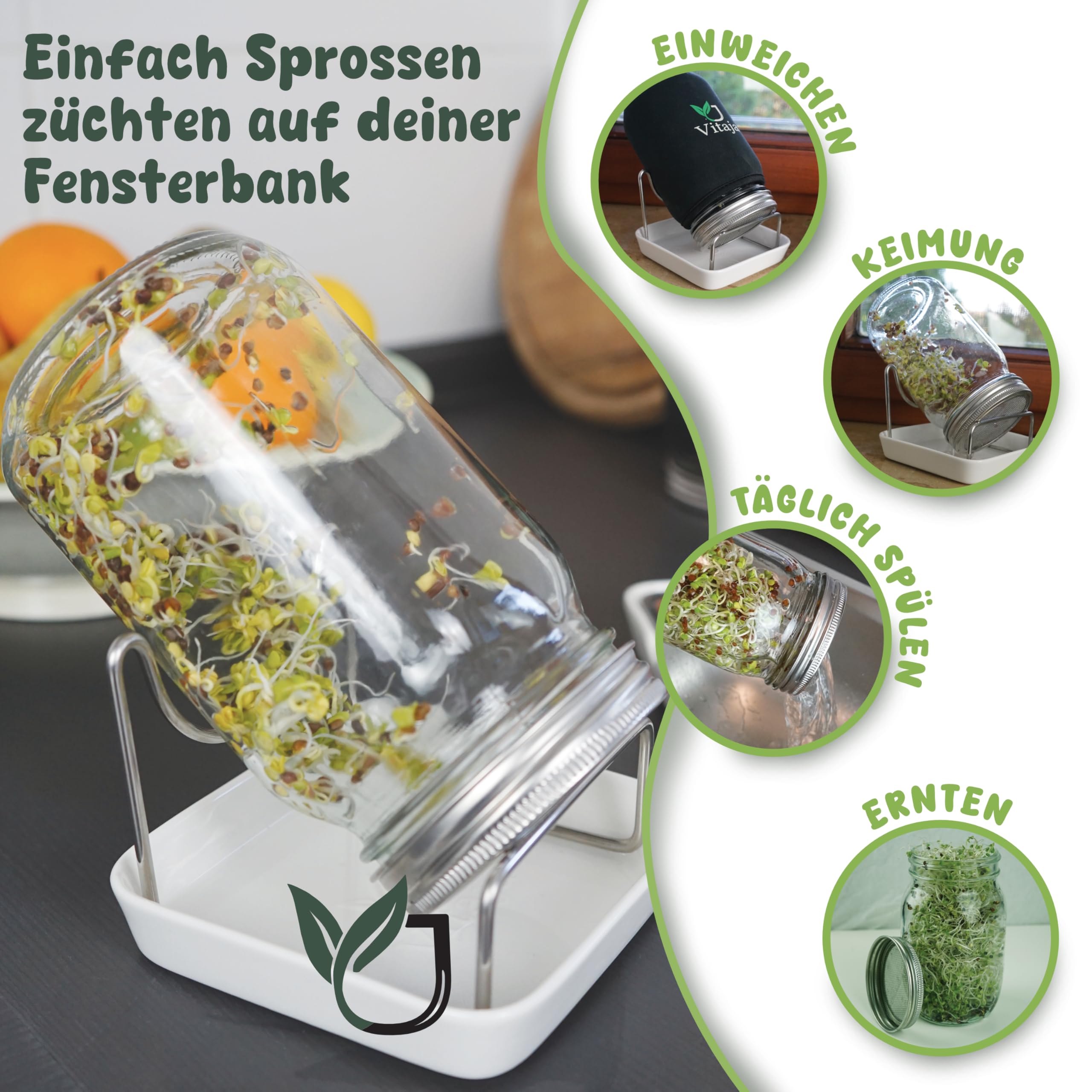 Vitaja idandamisnõude komplekt – 2-osaline komplekt idude ja mikrotaimede kasvatamiseks (koos 2x pimenduskangaga) – Idandamisnõu aknalauale – Nõudepesumasinas pestav
