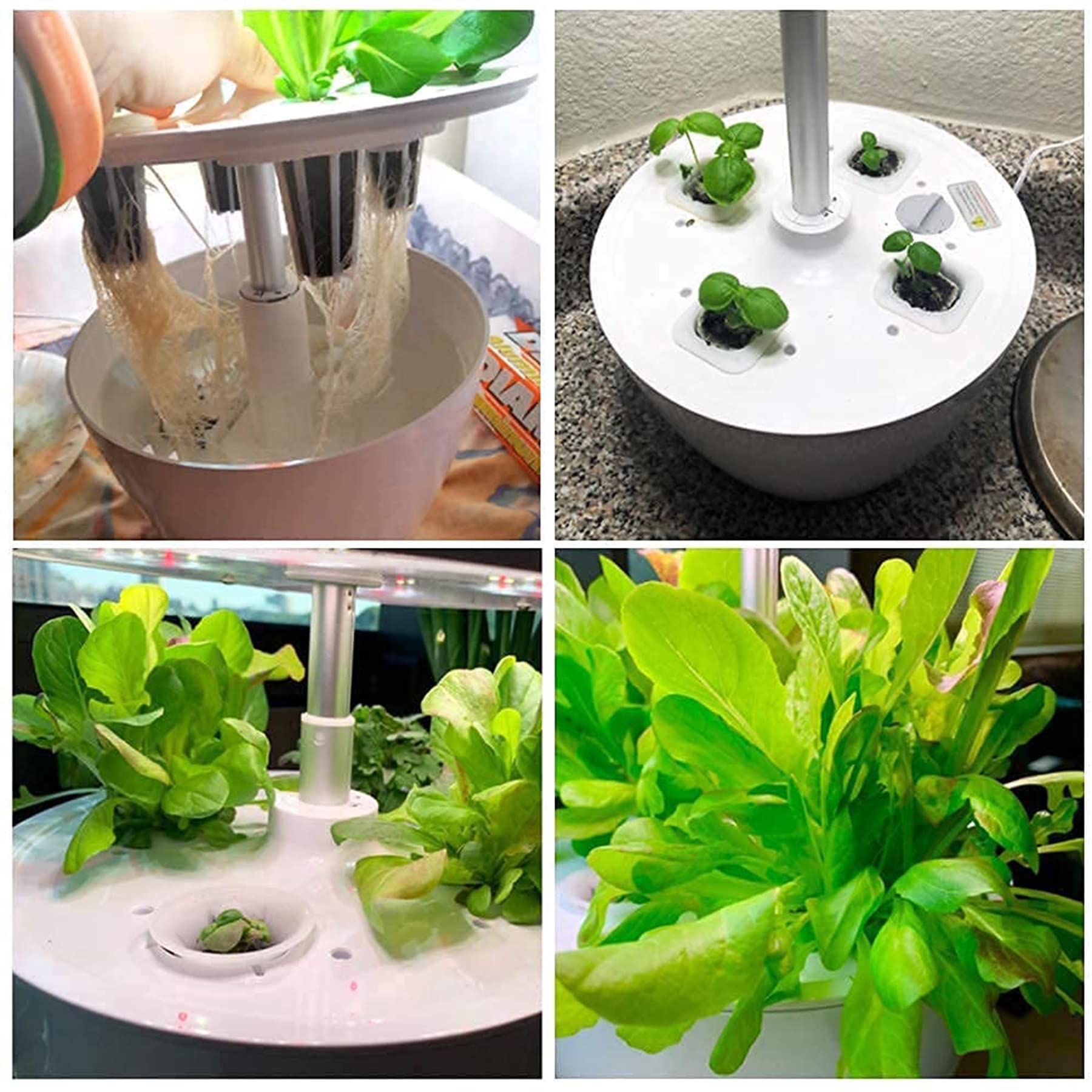 100-osaline hüdropoonika kasvatuse komplekt taimeseemnete idandamiseks – 50 kasvukäsna ja 50 seemnekorvi