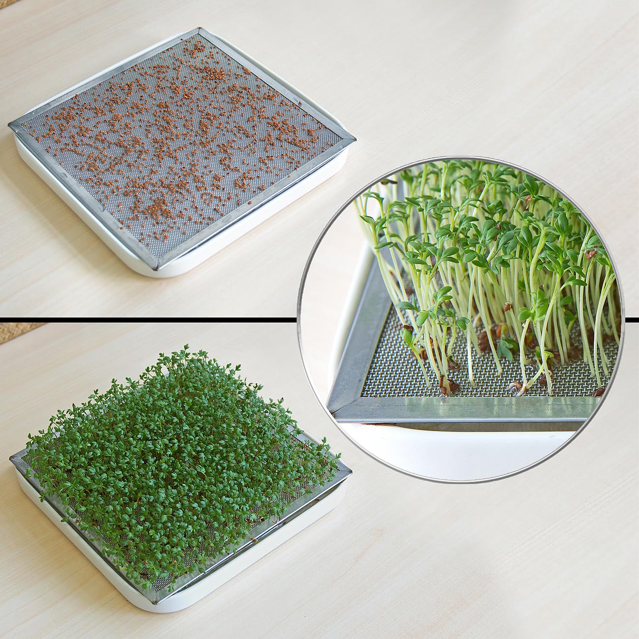 Royal Gardineer idandamisnõud