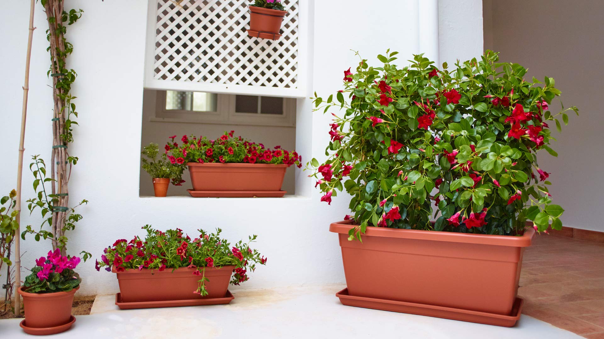 VENEZIA XL TAIMEKAST 60CM VALGE