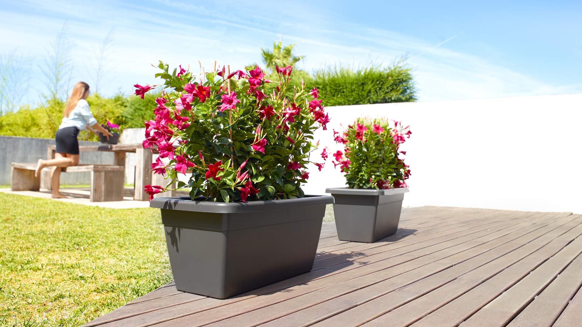 VENEZIA XL TAIMEKAST 60CM VALGE