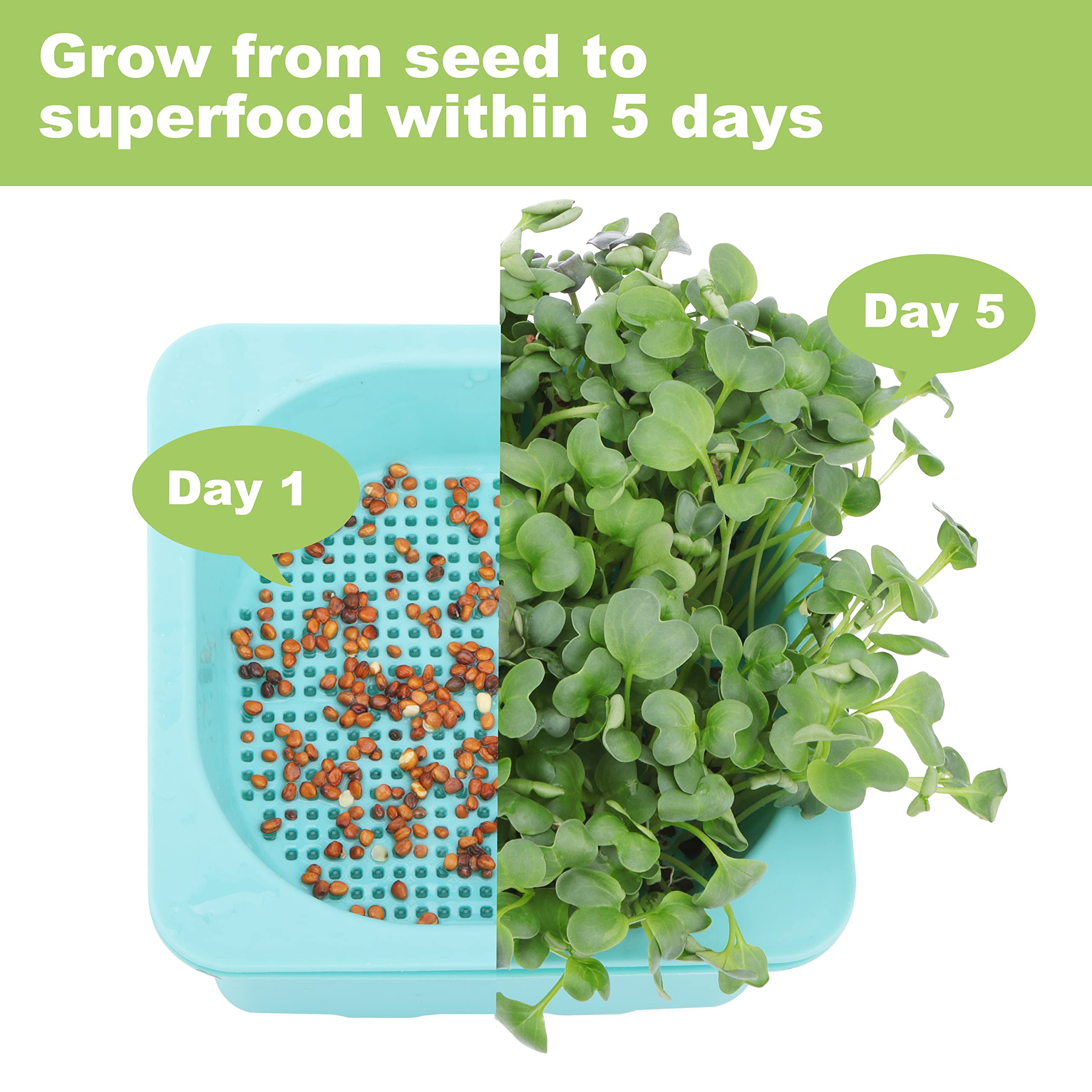 LUVCOSY 6-osaline mikroroheliste ja idandite kasvatamise komplekt