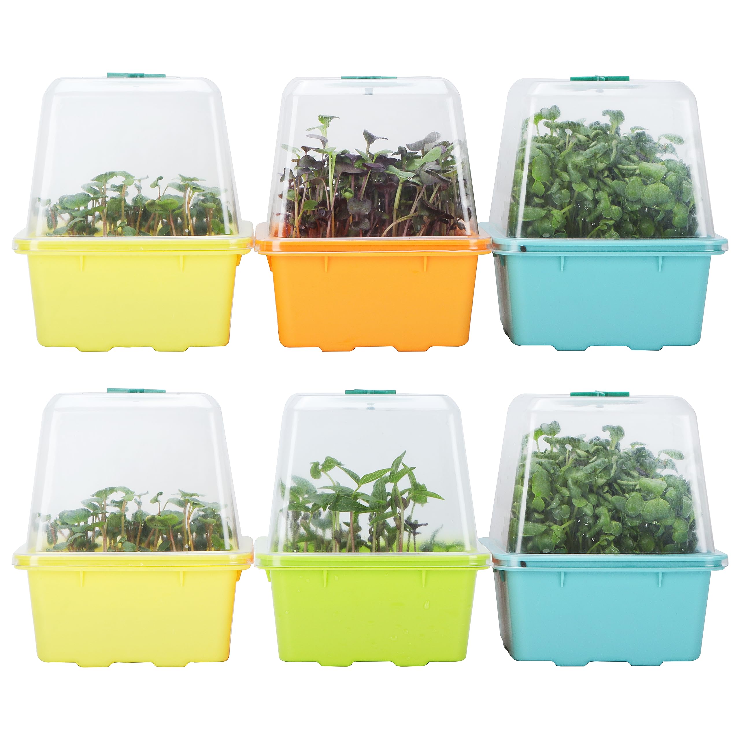LUVCOSY 6-osaline mikroroheliste ja idandite kasvatamise komplekt