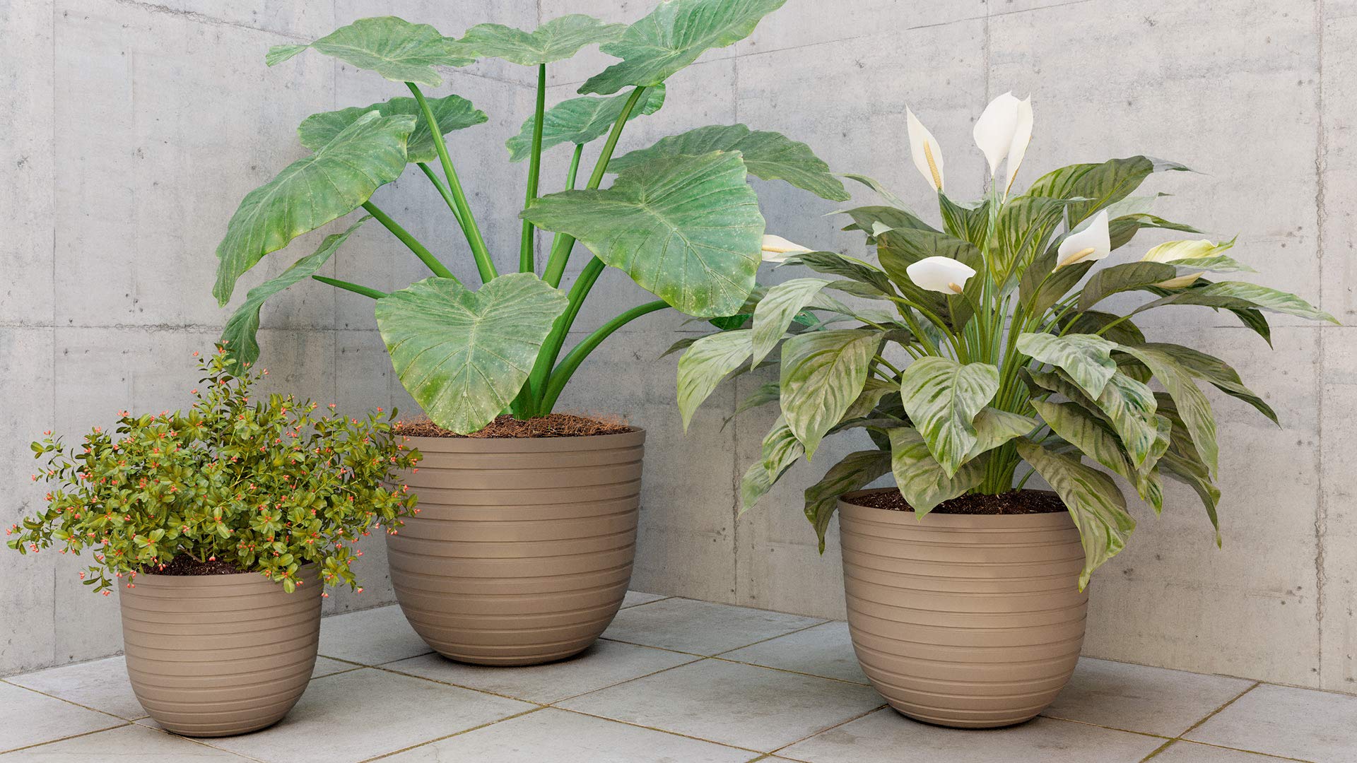 HAVANA HORIZON POTT 40CM LUBJAKIVI