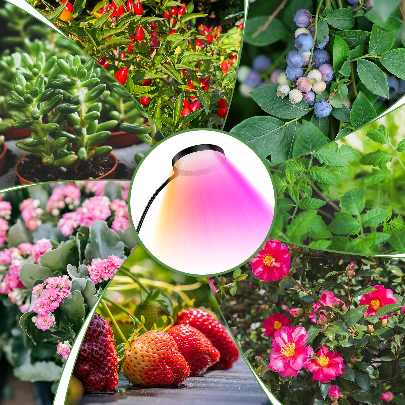 YUYMIKA LED täisspektriga taimelamp