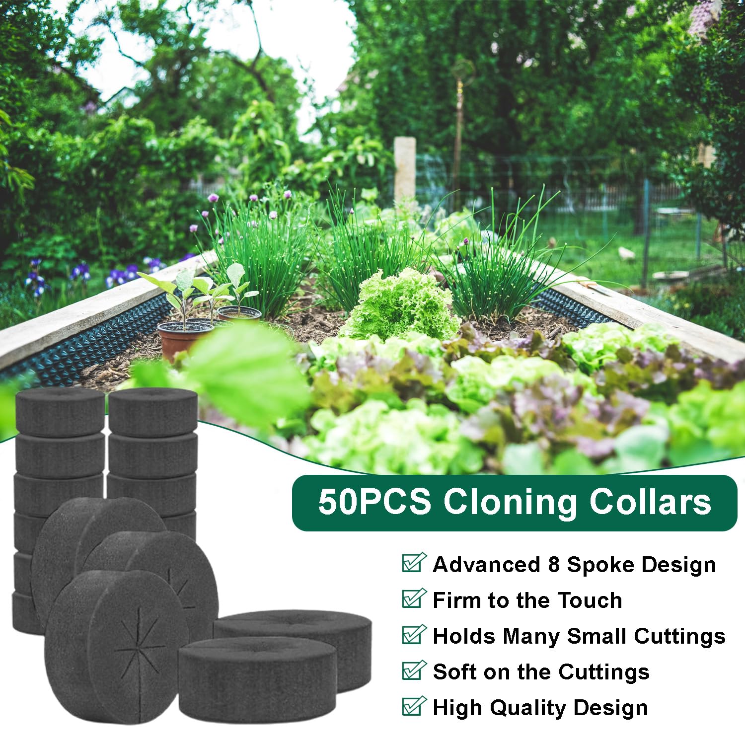 Reicyfang 50 tk klonimiskaeluse sisetükid – premium-klassi vaht