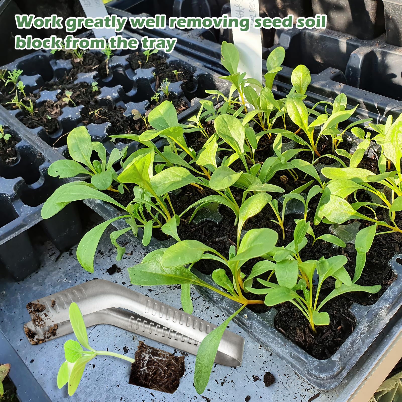 1 x Roostevabast Terasest Istikute Istutustangid – Säsiistutaja