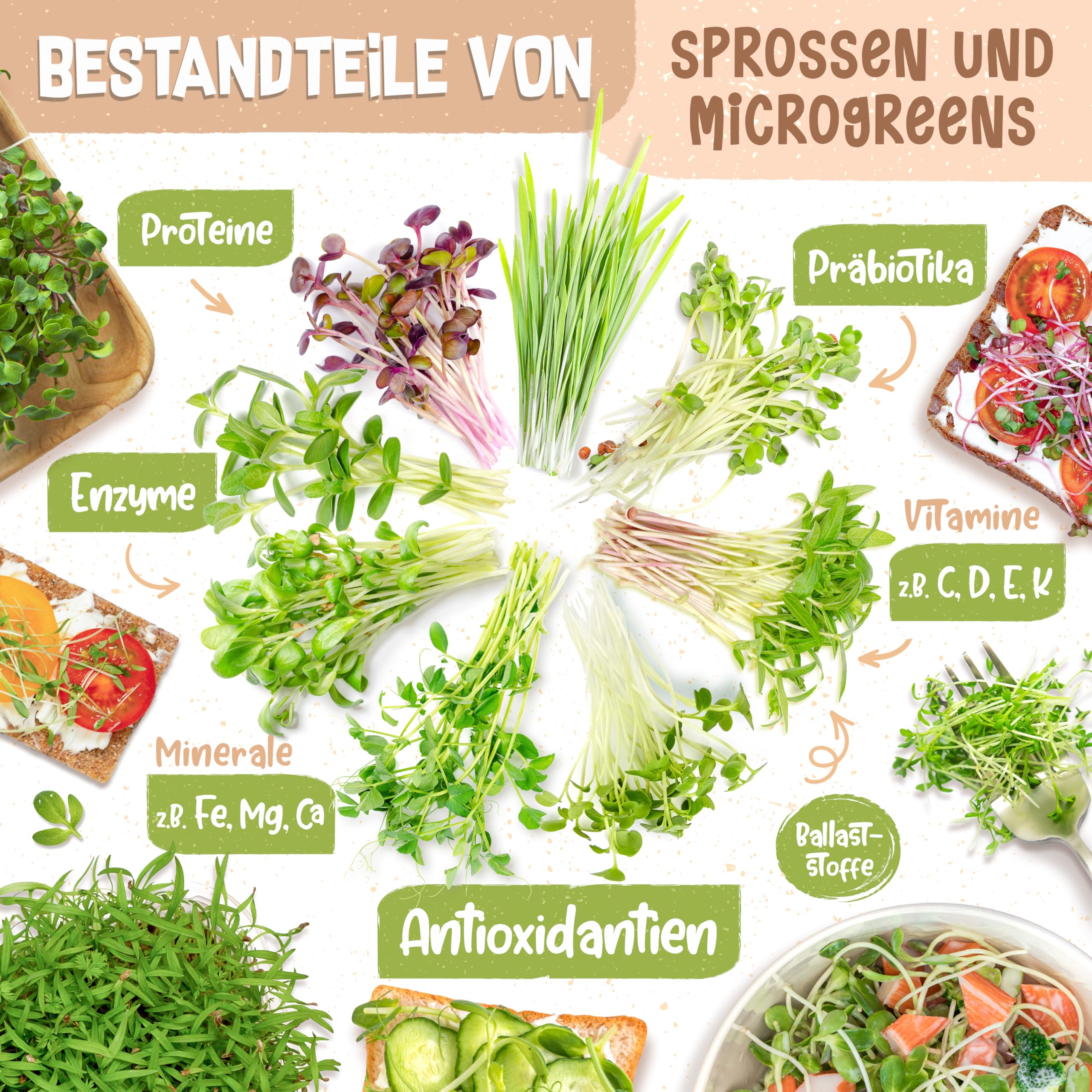 zengreens® Öko Idandamis Komplekt – Idanemispurk 1-