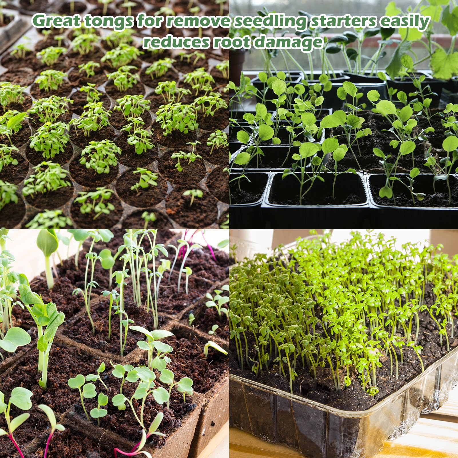 1 x Roostevabast Terasest Istikute Istutustangid – Säsiistutaja