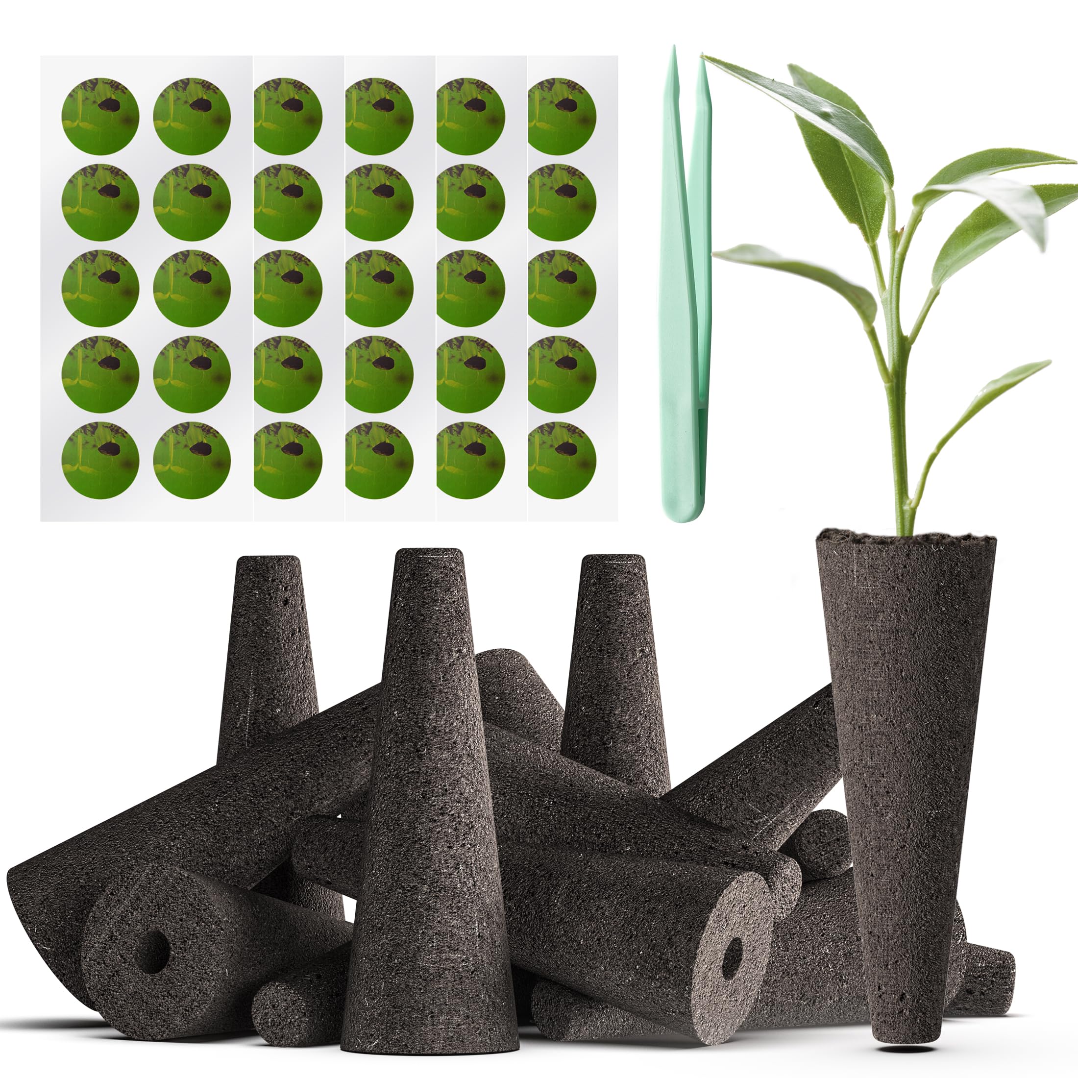 Hüdrokultuuri kasvatuskäsnad