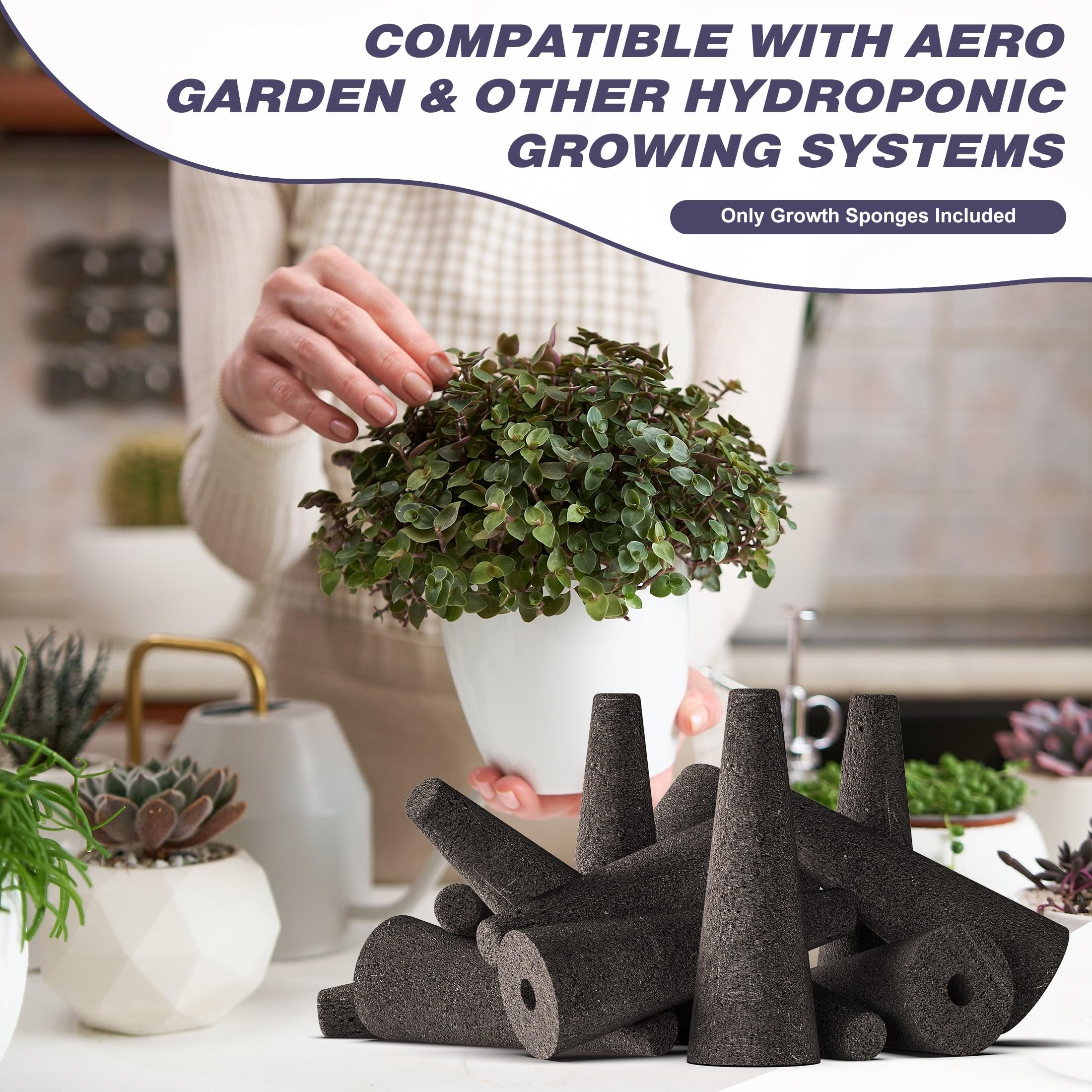 Hüdrokultuuri kasvatuskäsnad