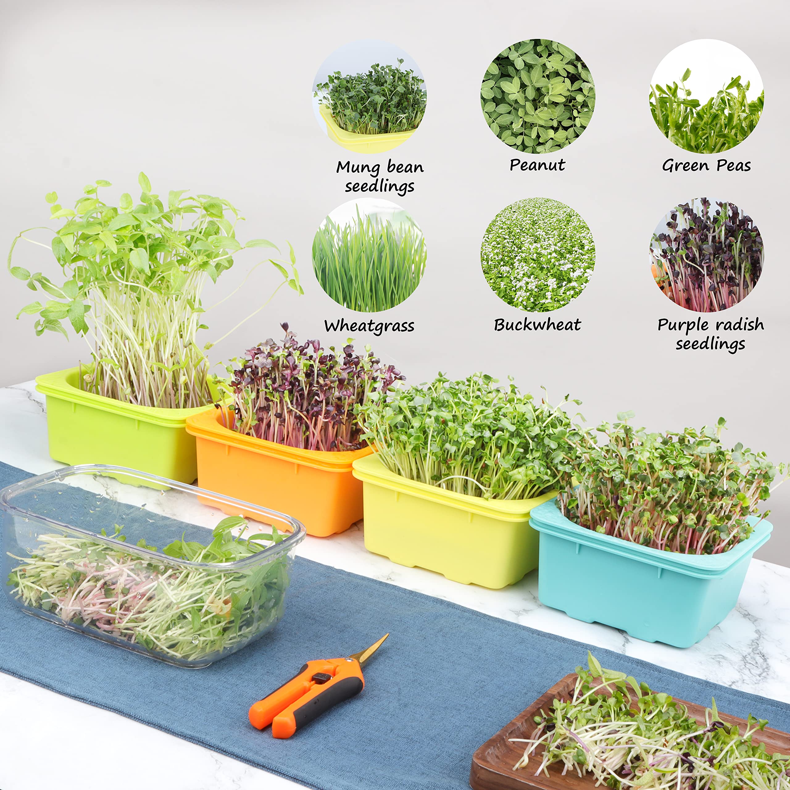 LUVCOSY 6-osaline mikroroheliste ja idandite kasvatamise komplekt