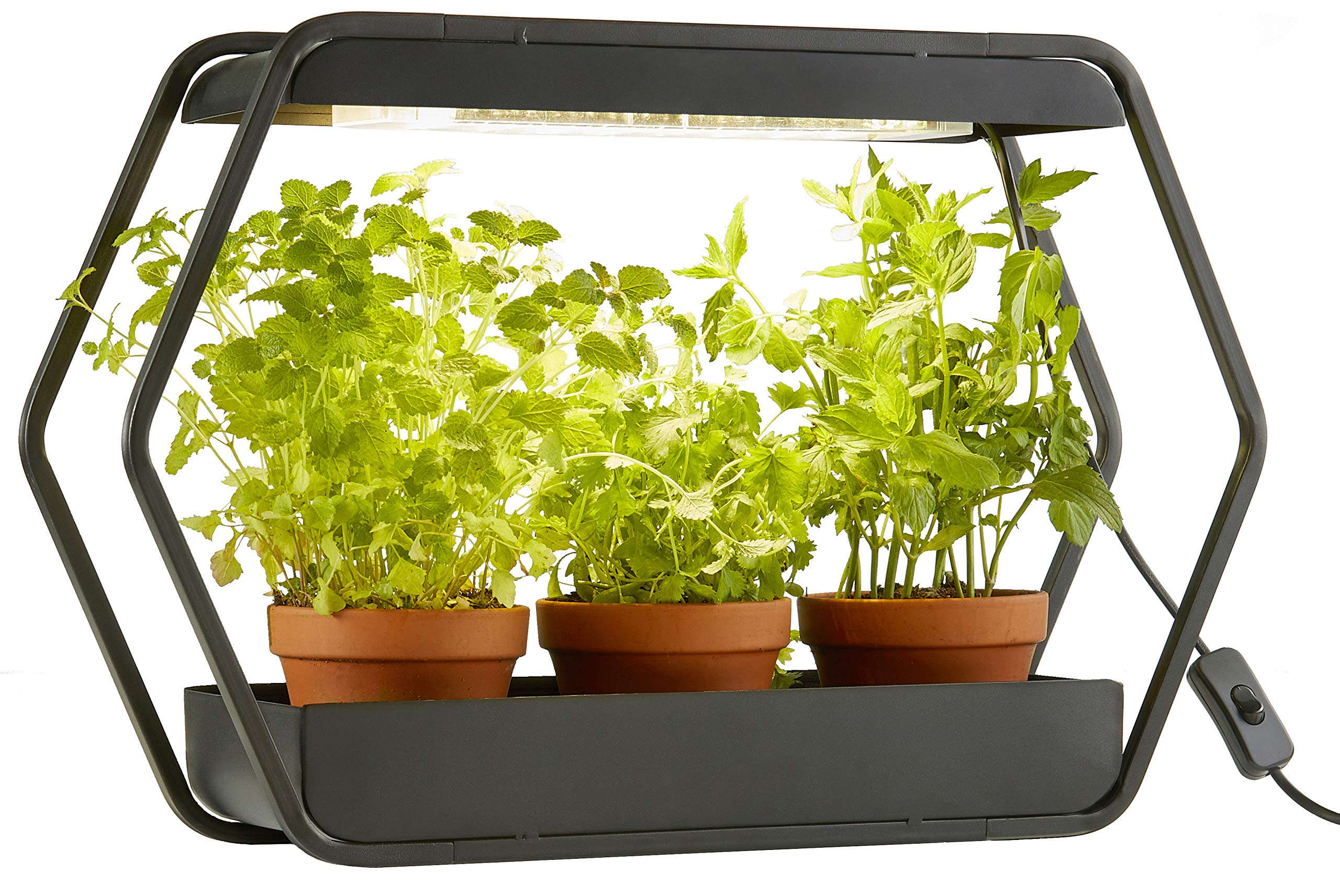 Northpoint Design LED taimevalgusti – maitsetaimede aialamp