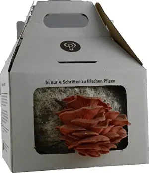 Pilzzucht-Set Rosenseitling tooteinfo