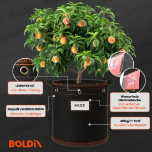 BOLDiX kotid toote esivaade 6