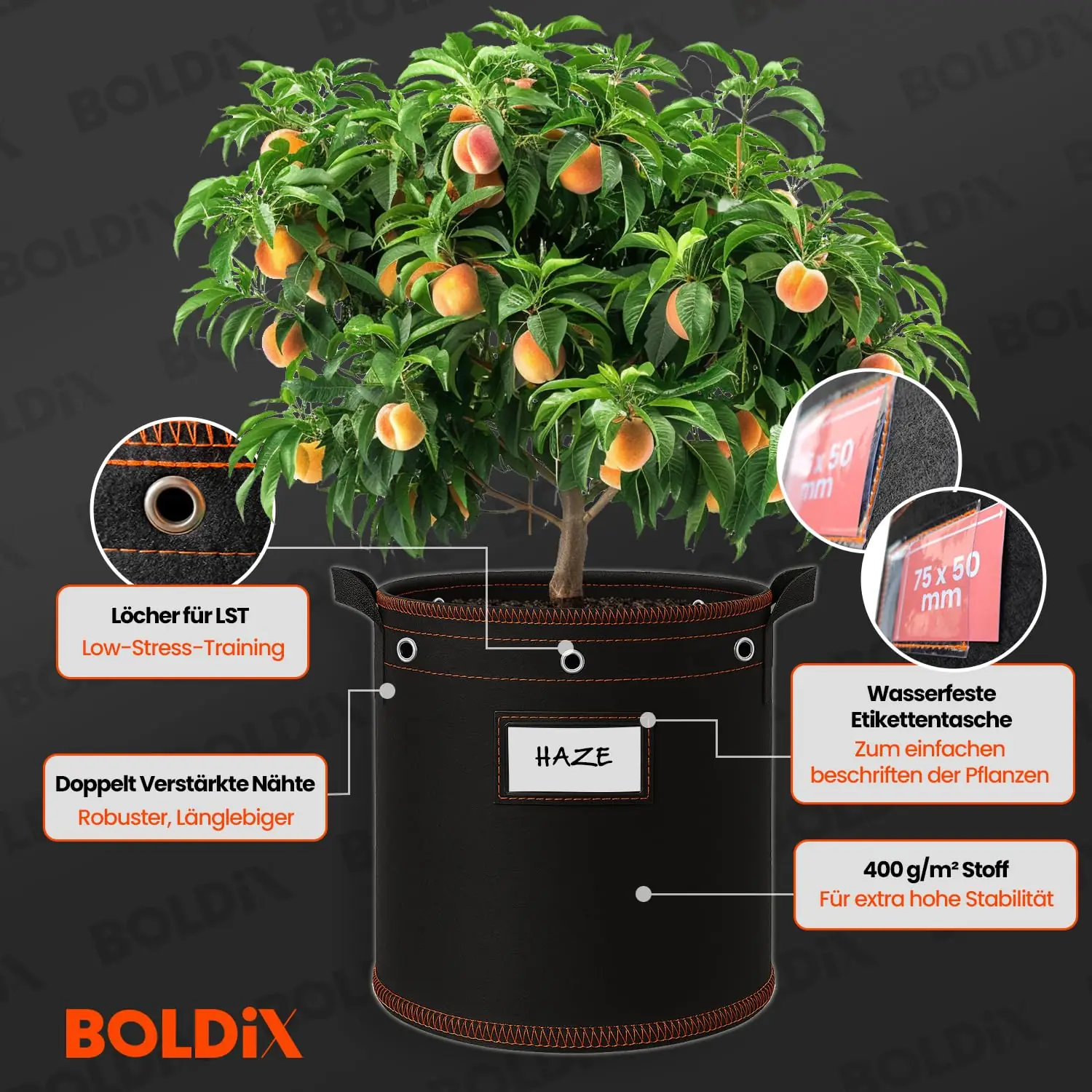 BOLDiX kotid toote esivaade 6