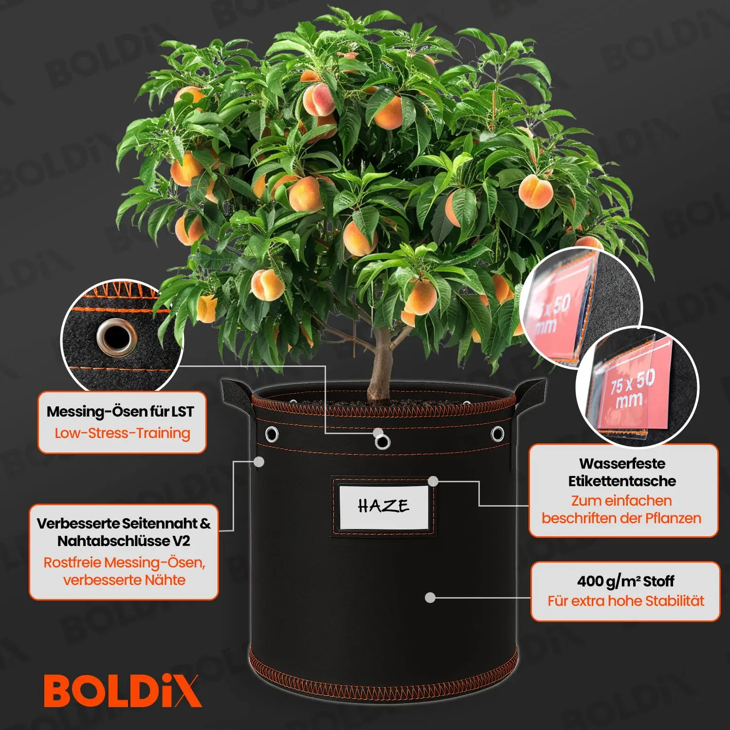 BOLDiX kotid toote esivaade 6