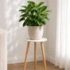 Bamworld valge puidust lillealus toataimega