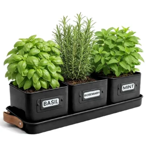 Green Thumbz 3 musta ürdipotti alusel