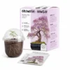 GROW2GO bonsai kasvatuskomplekti karp ja topsik-kasvuhoone