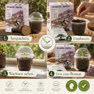 Bonsai kasvatamine neljas sammus: lahtipakkimine, külv, kasvamine