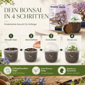 Bonsai külvamine neljas sammus topsikusse