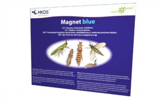 Magnet Blue sinise liimpüünise 20×25 cm pakend
