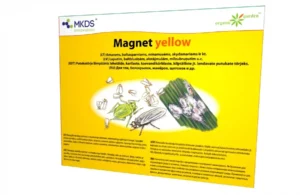 Magnet Yellow kollase liimpüünise 20×25 cm pakend