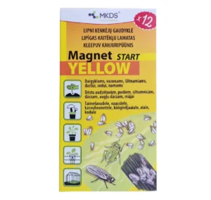 Magnet Yellow Start liimpüüniste 7×14 cm 12 tk pakk