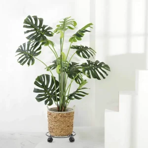 Monstera korvpotis ratastega metallalusel
